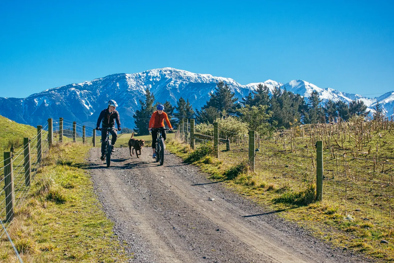 Couple and dog cycling