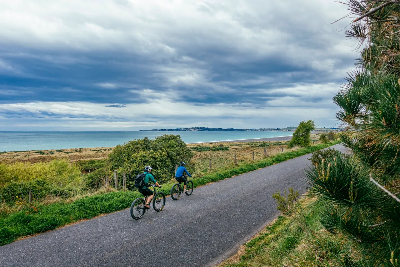 Couple cycling along road beside ocean