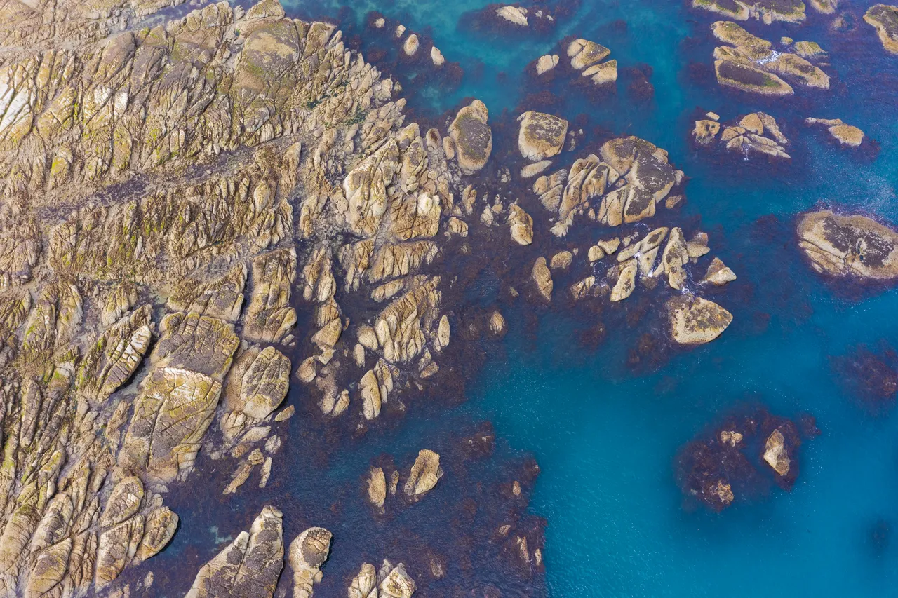 Peninsula South Bay Lowtide Aerial
