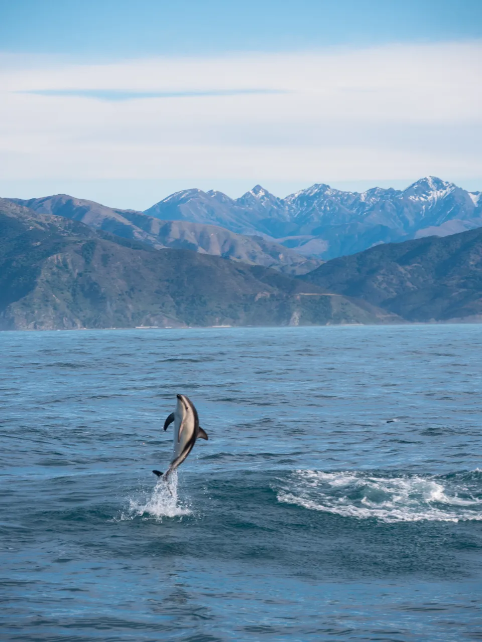 Dophin Jump Mountains