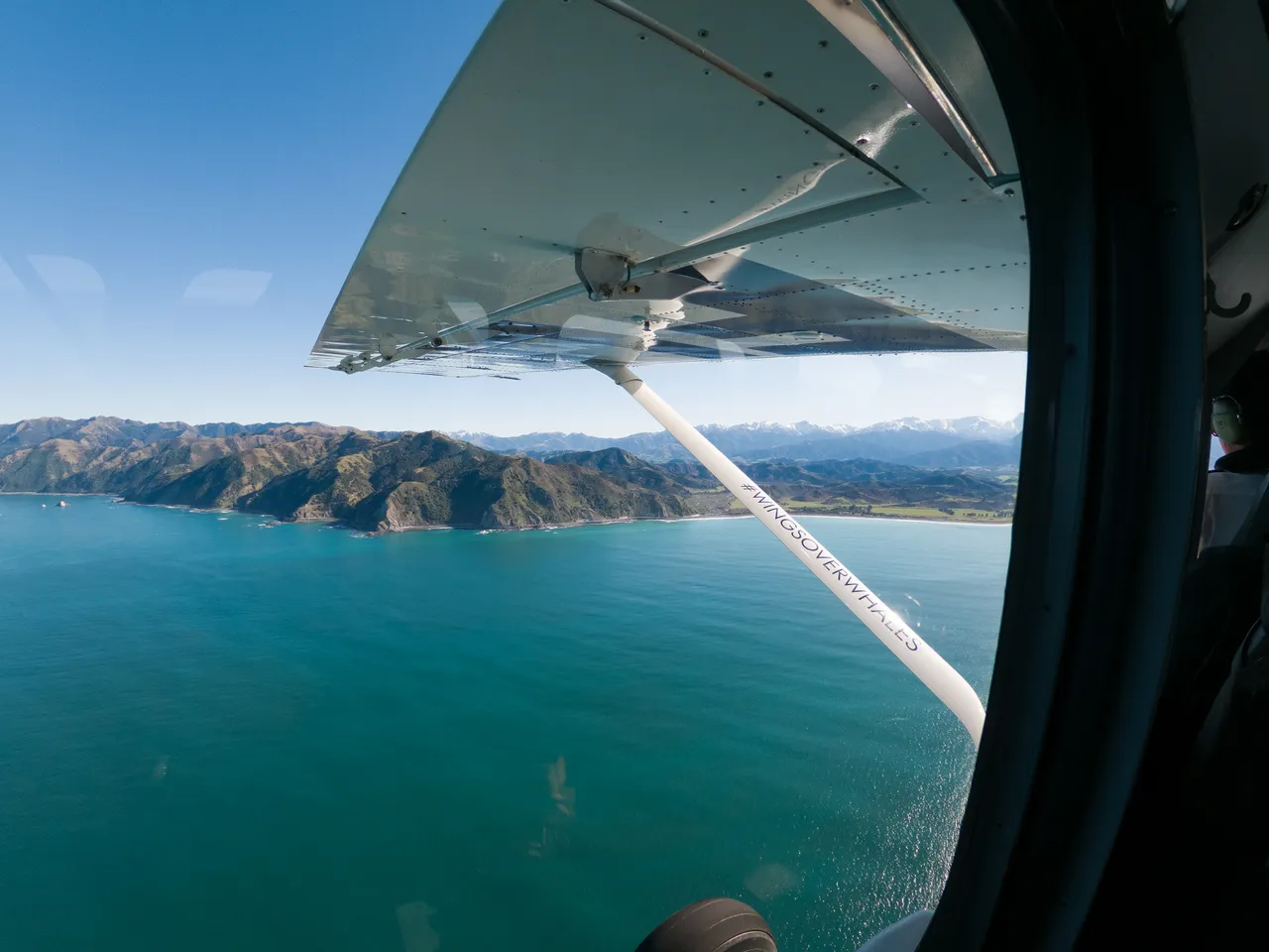 Wings Over Whales Coastal View Wing Perspective @barekiwi