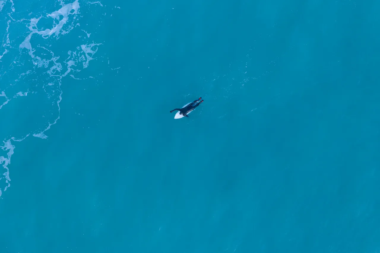 Surfer aerial view ocean