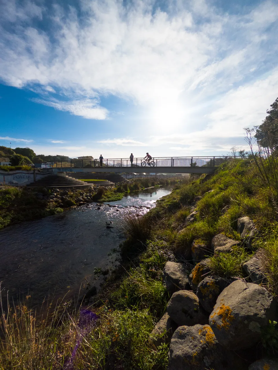 Town Lyell Creeks  Footbridge @barekiwi