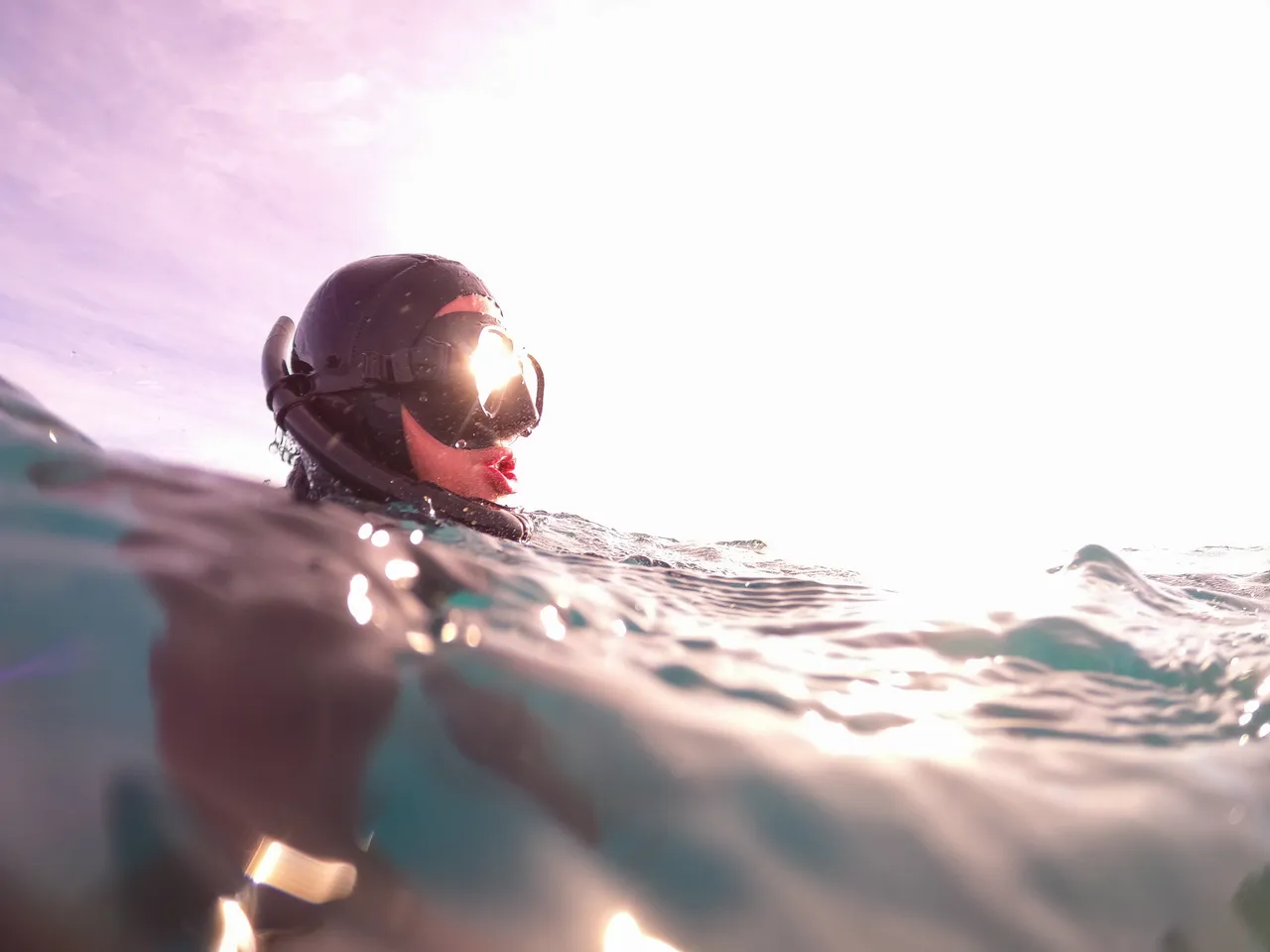 Dolphin Swimmer