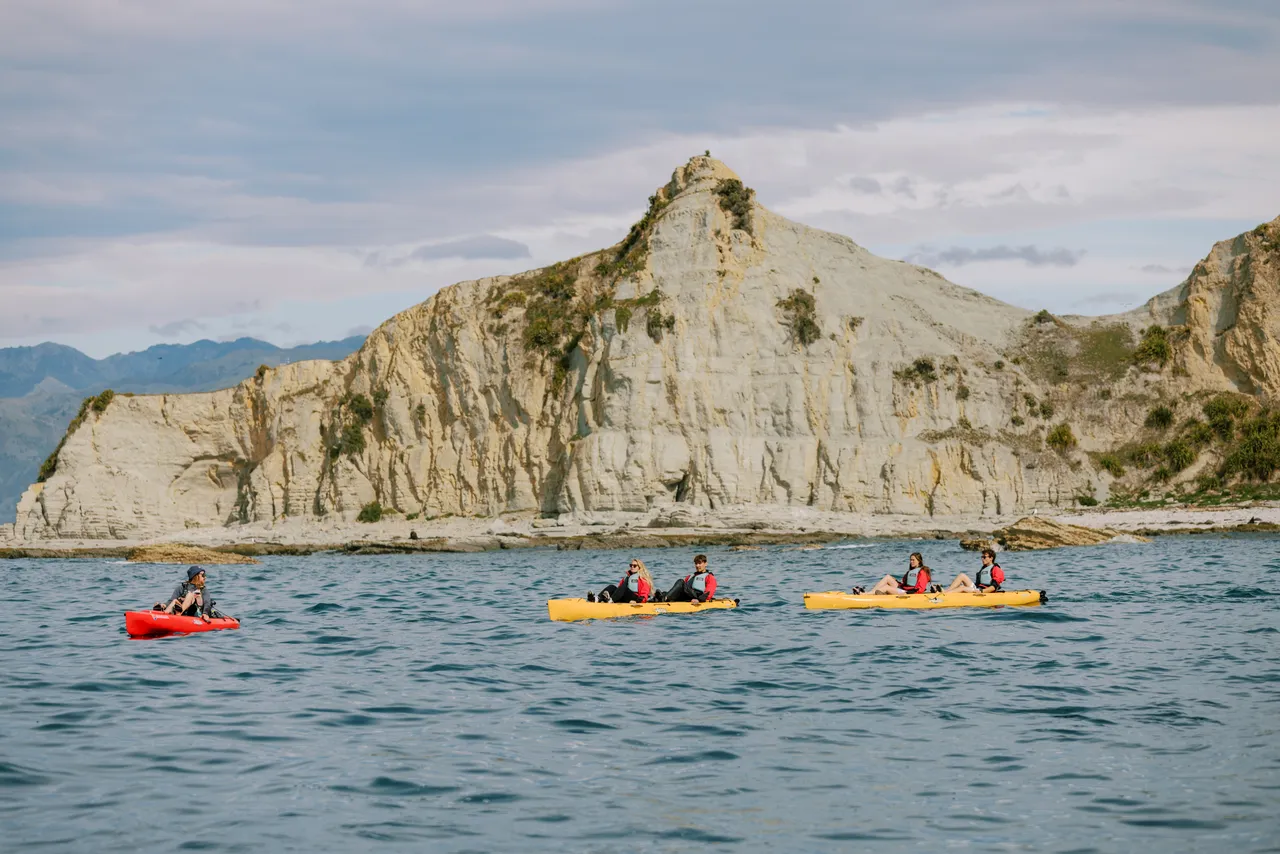 Seal Kayak Kaikoura 1