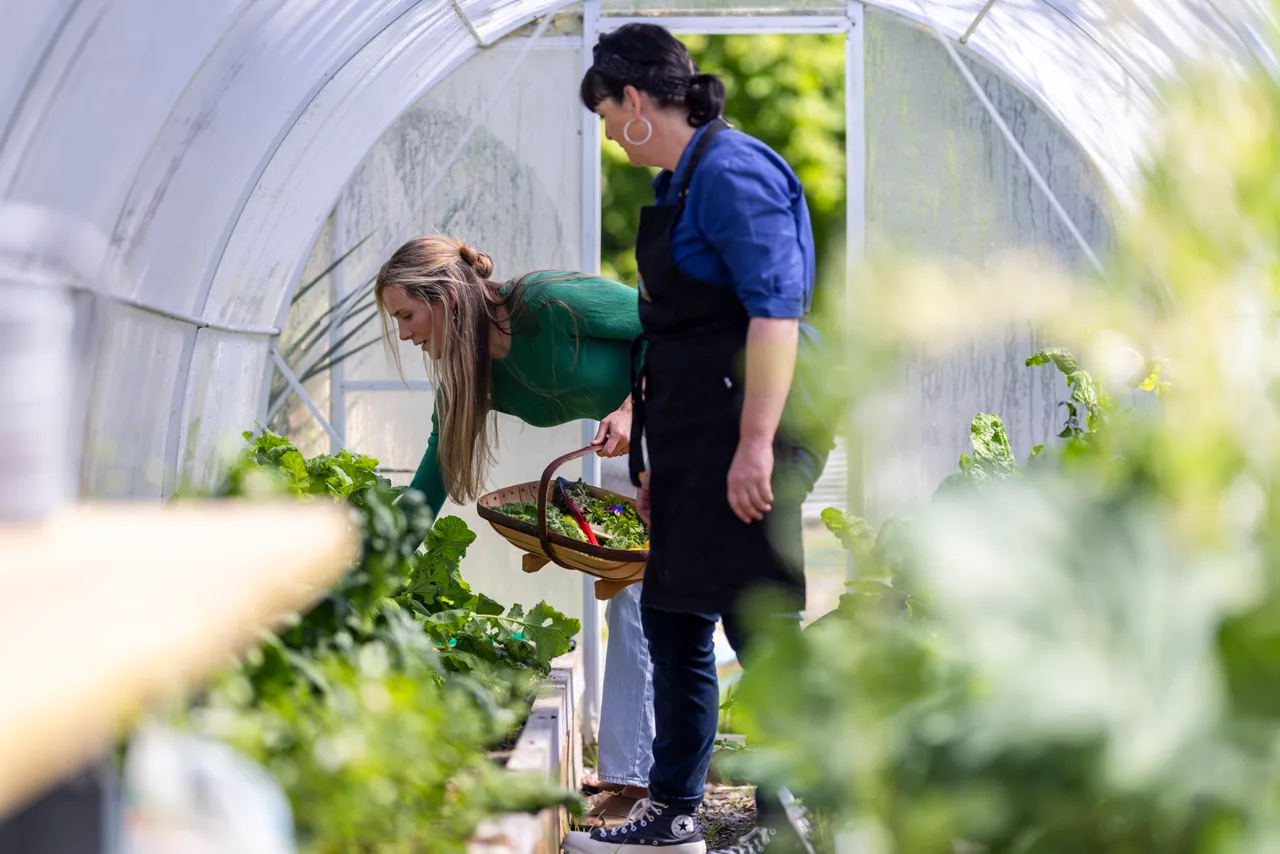 Hapuku-Kitchen-Cooking-School-Growtunnel