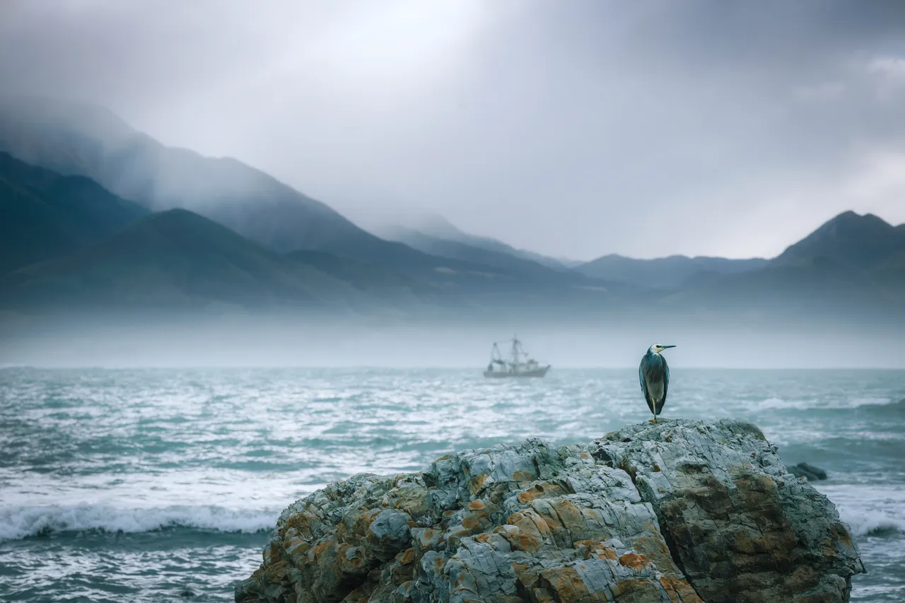 Fishing Boat & Bird