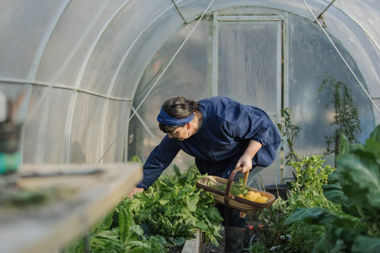 Hapuku-Kitchen-Cooking-School-Poly-Tunnel-Landscape