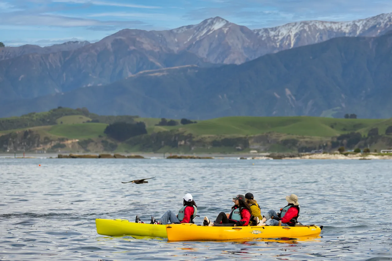 Seal Kayak Kaikoura 5