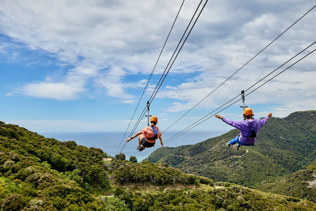 A race to the bottom at EcoZip Kaikoura