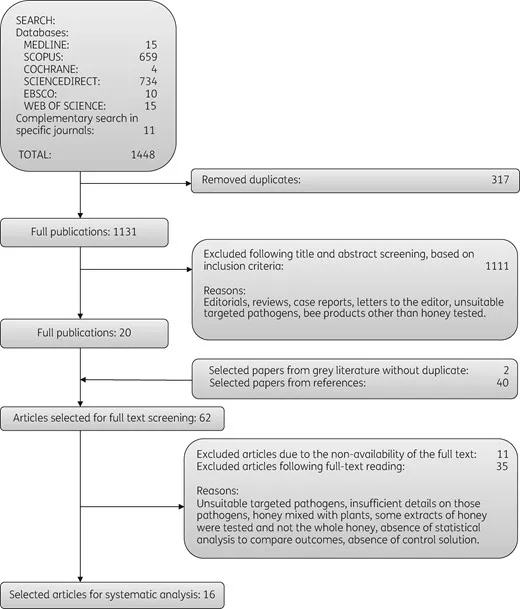 Antimicrobial activity of honey in periodontal disease: a systematic review | Journal of Antimicrobial Chemotherapy | Oxford Academic