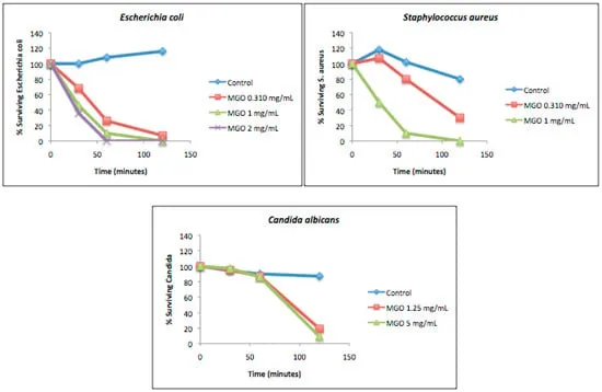 Methylglyoxal, the Major Antibacterial Factor in Manuka Honey: An Alternative to Preserve Natural Cosmetics?