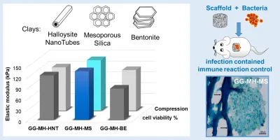 Advances in cartilage repair: The influence of inorganic clays to improve mechanical and healing properties of antibacterial Gellan gum-Manuka honey hydrogels - ScienceDirect