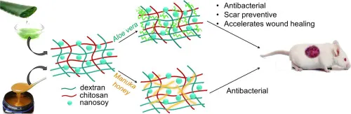 Scar free healing mediated by the release of aloe vera and manuka honey from dextran bionanocomposite wound dressings - ScienceDirect