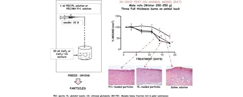 Particulate systems based on pectin/chitosan association for the delivery of manuka honey components and platelet lysate in chronic skin ulcers - ScienceDirect