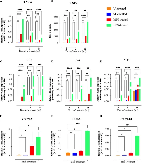Frontiers | Characterization of immunomodulatory responses induced by manuka honey