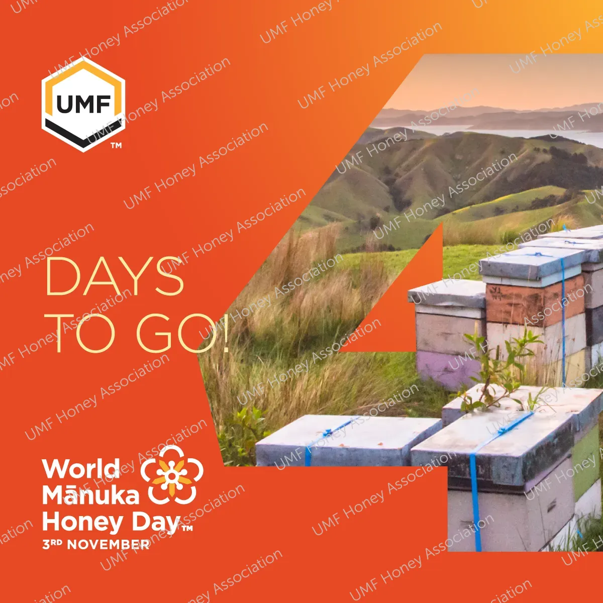 J003731 - WMHD Social - 4 Days