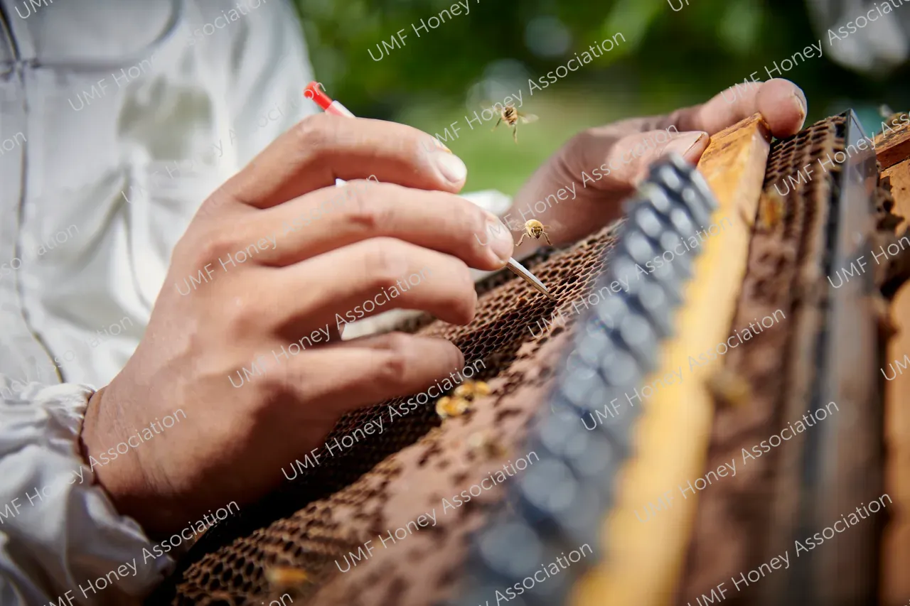 Haddrell's Queen Bee Rearer 5