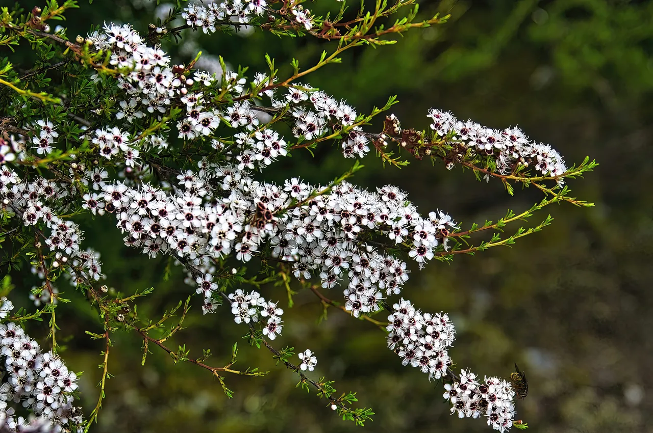 shutterstock_2336223855