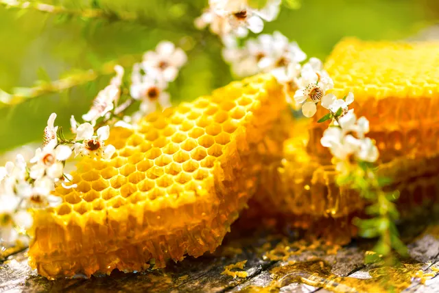 Manuka Honeycomb
