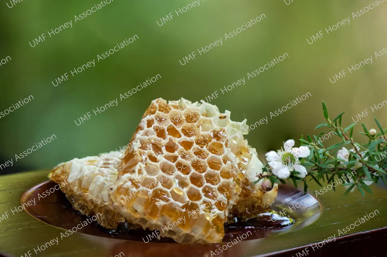 shutterstock_2244250173