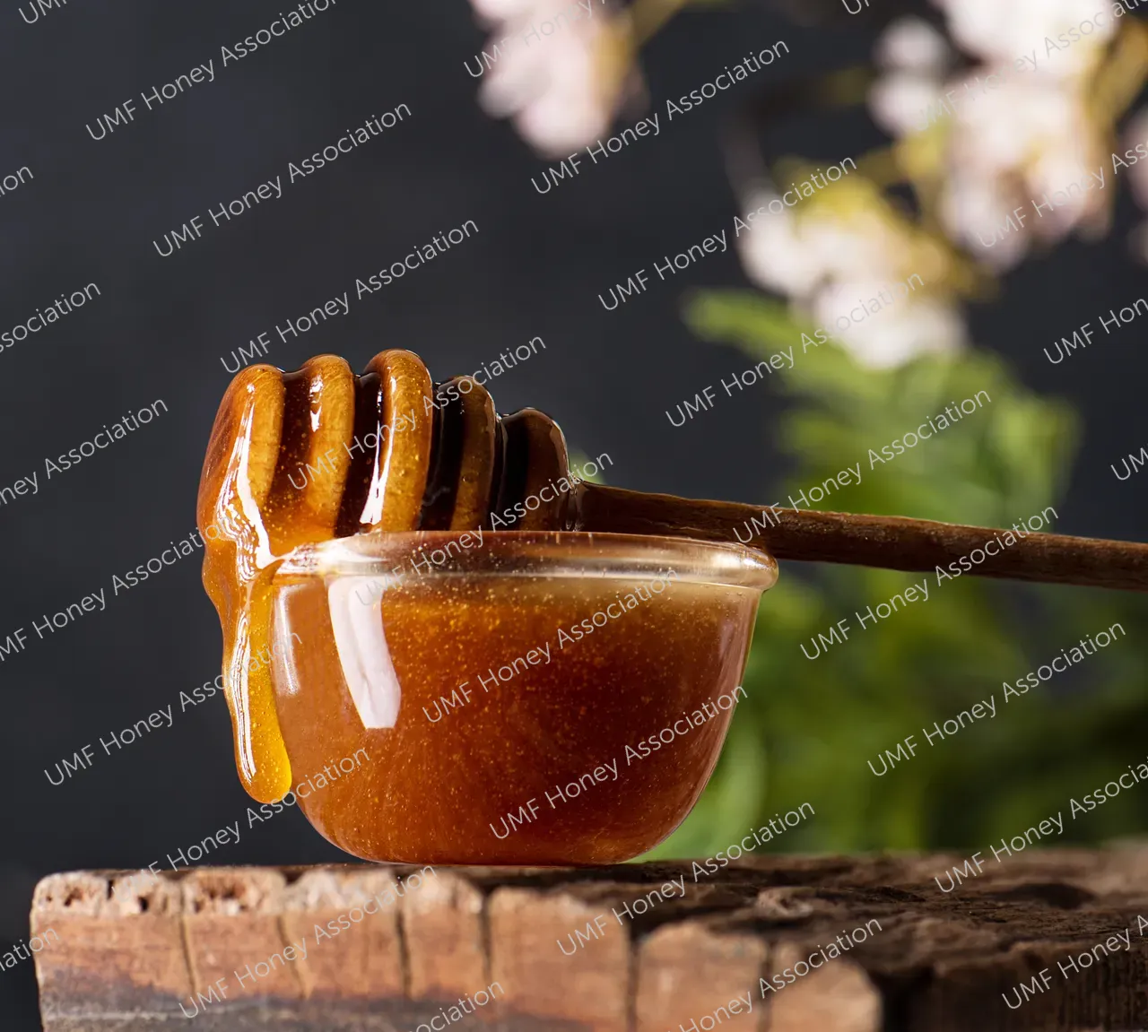 shutterstock_2422053373
