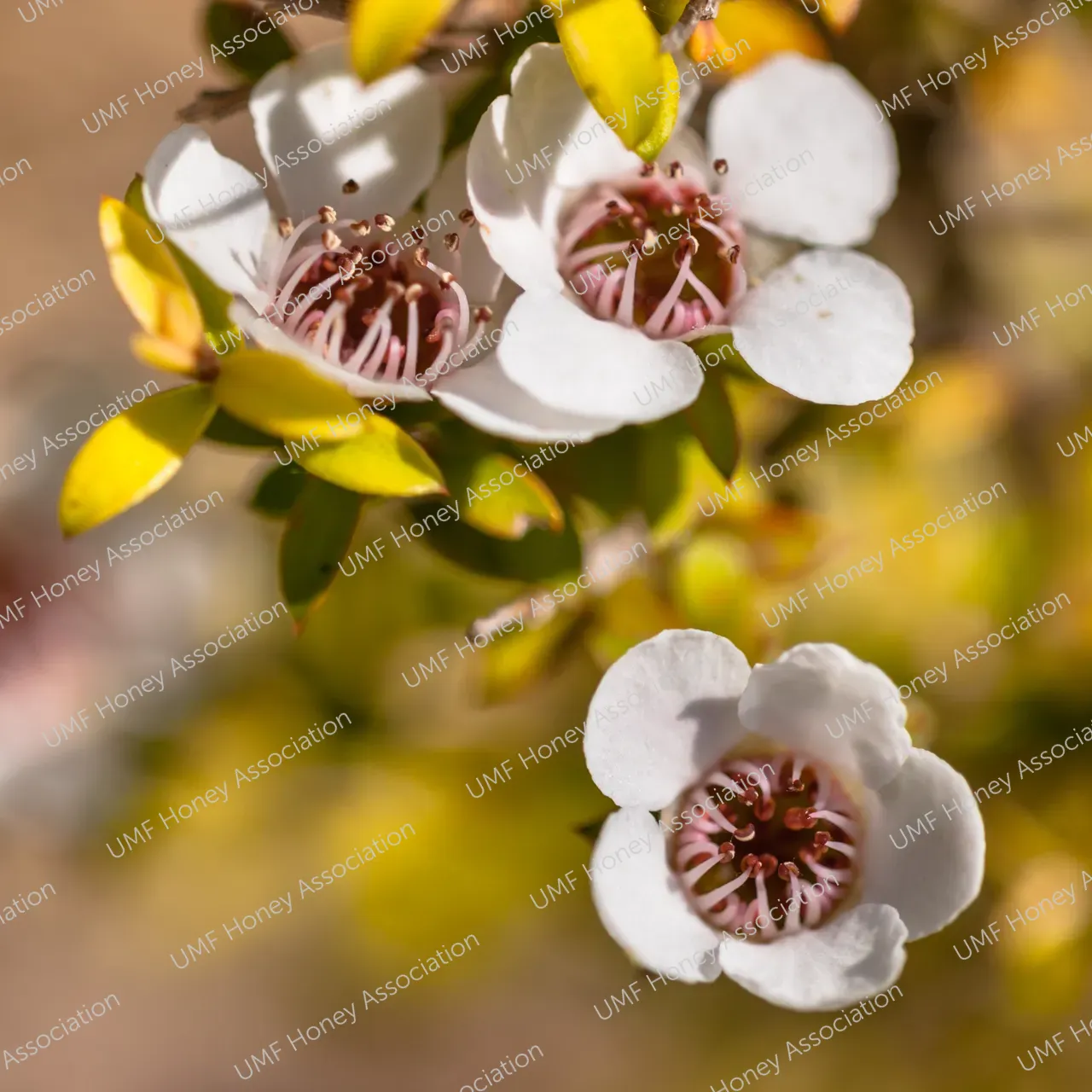 shutterstock_269094923