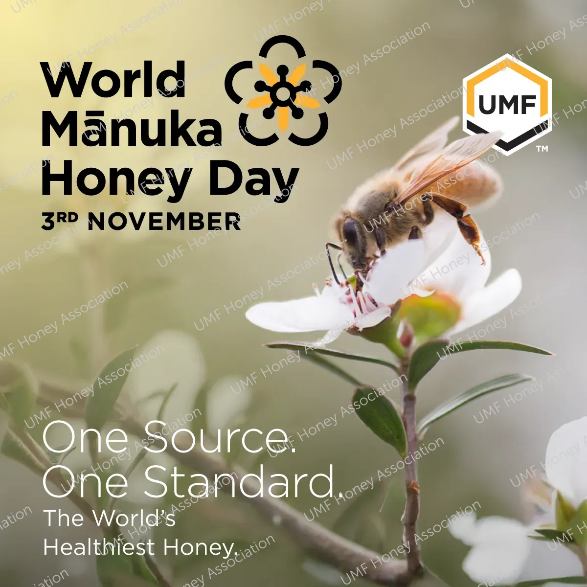 WMHD post - strapline