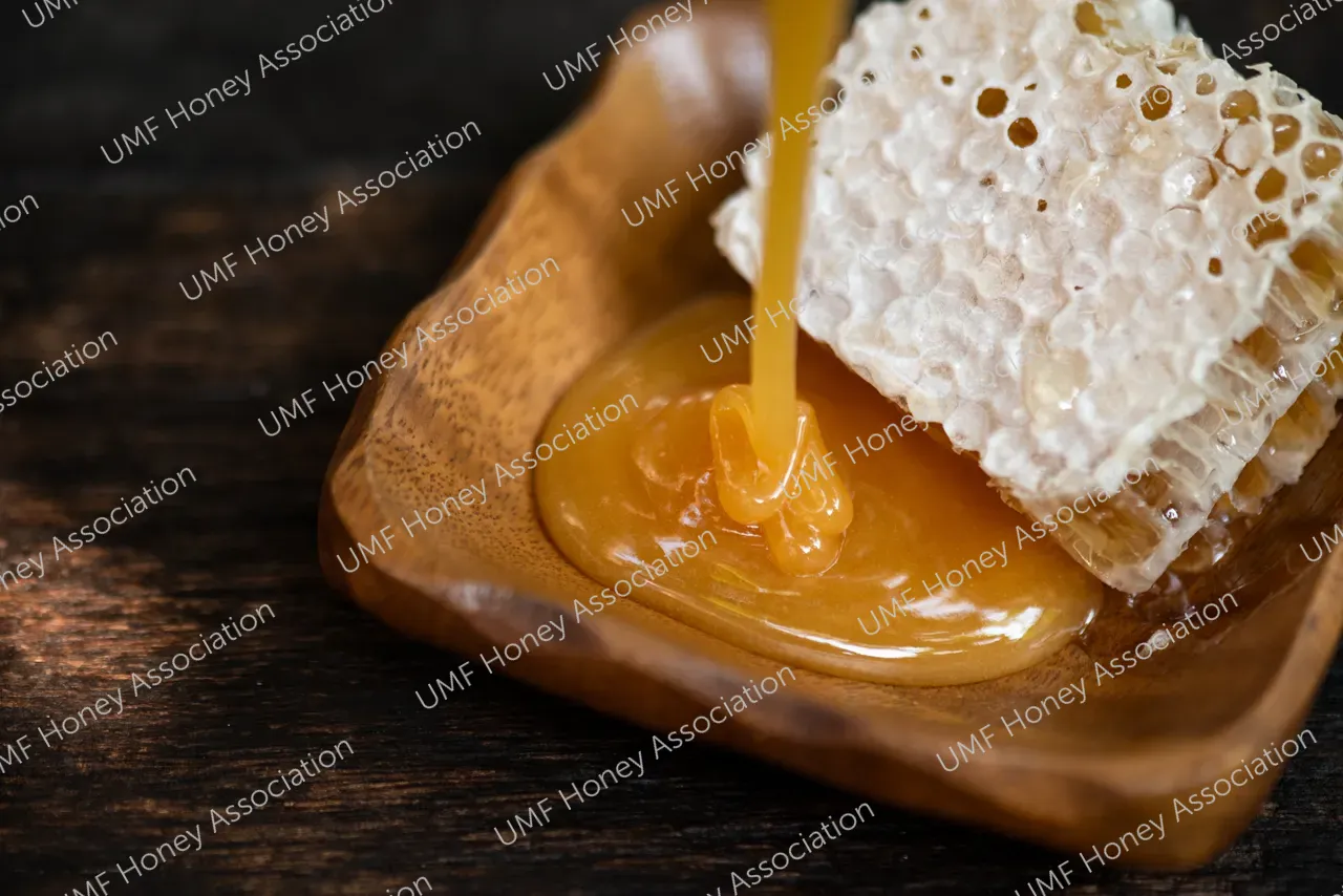 shutterstock_2433701849