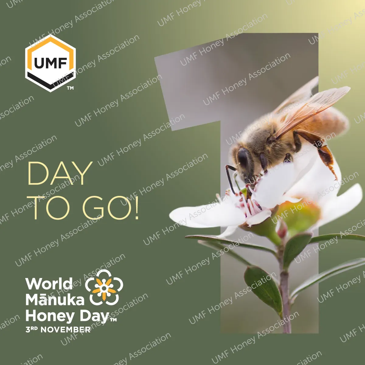 J003731 - WMHD Social - 1 Day