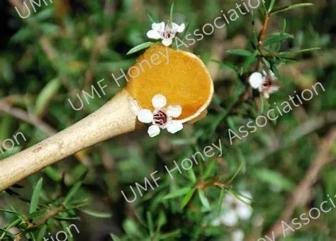 manuka spoon