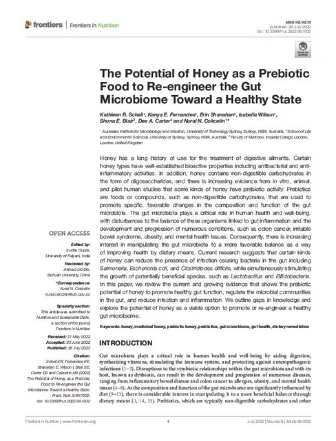 The Potential of Honey as a Prebiotic Food to Re-engineer the Gut Microbiome Toward a Healthy State