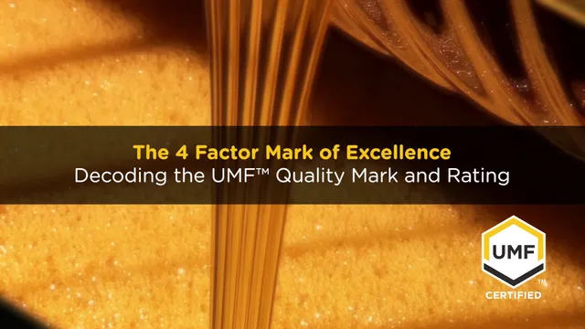 7. UMF VIDEO 7 - MASTER