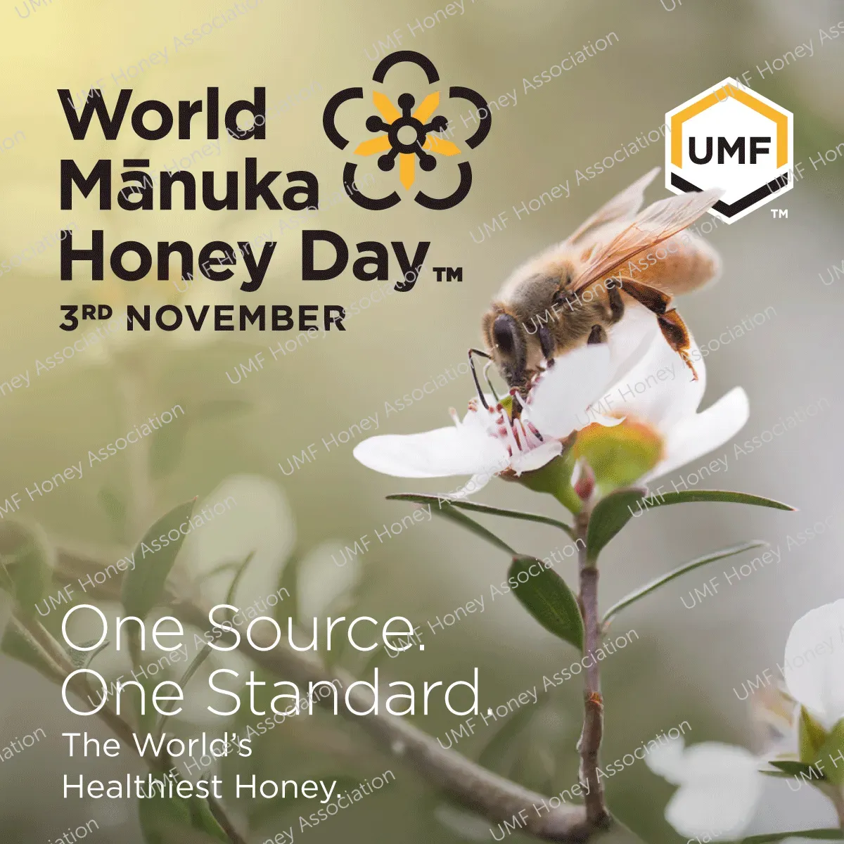 WMHD Social_Tagline_