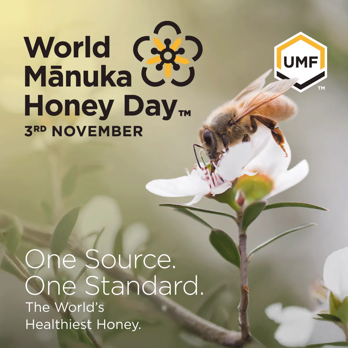 UMF Honey Association Brandkit - WMHD Social_Tagline_