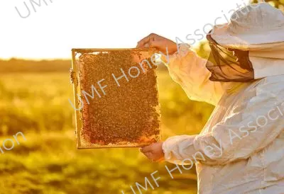Golden beekeeper