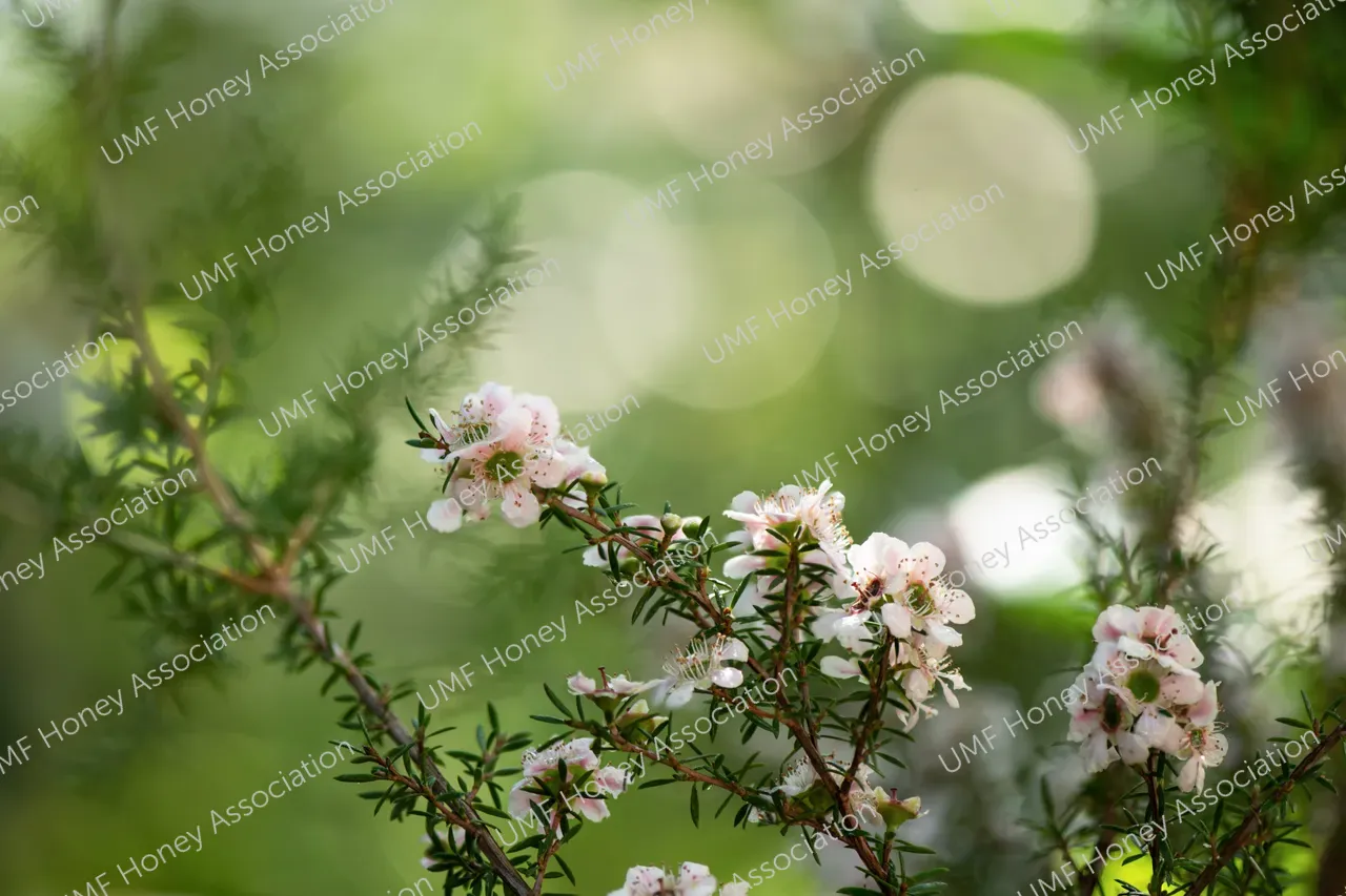 shutterstock_2264624131