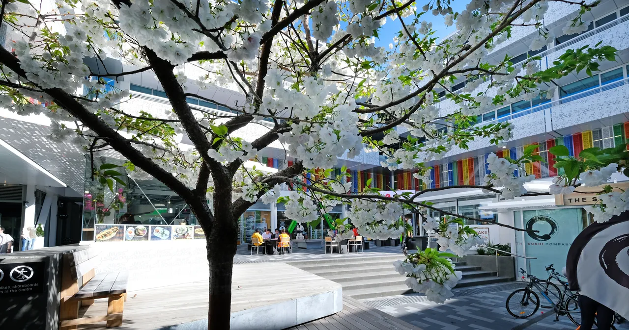 Five Lanes at the BNZ Centre