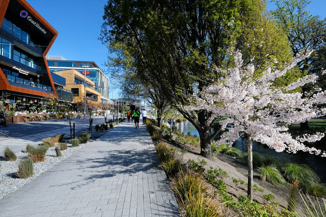 Avon River The Terrace 