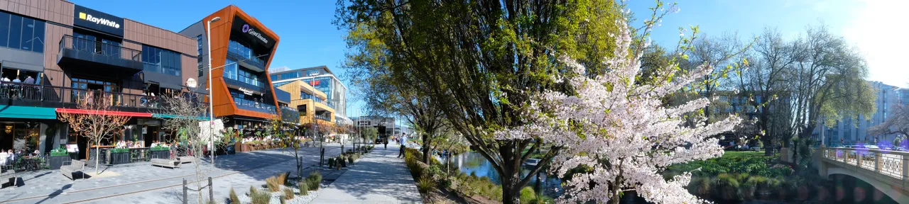 Avon River The Terrace 