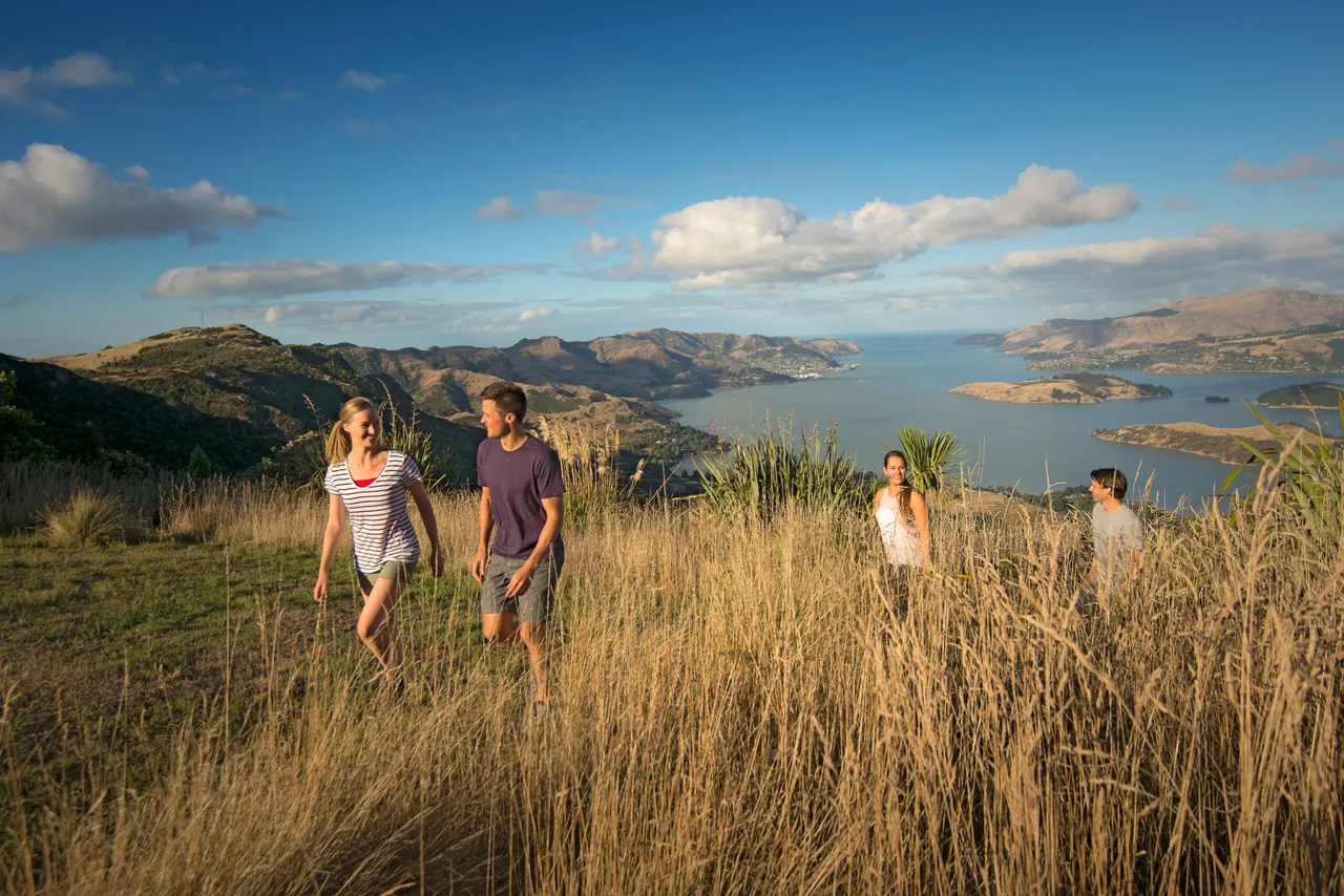 Group walking in the Port Hills