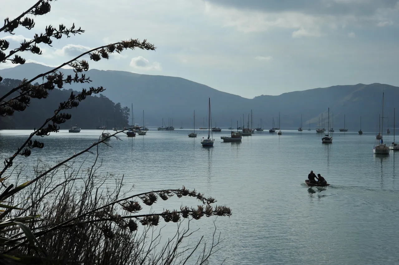 Akaroa Harbour