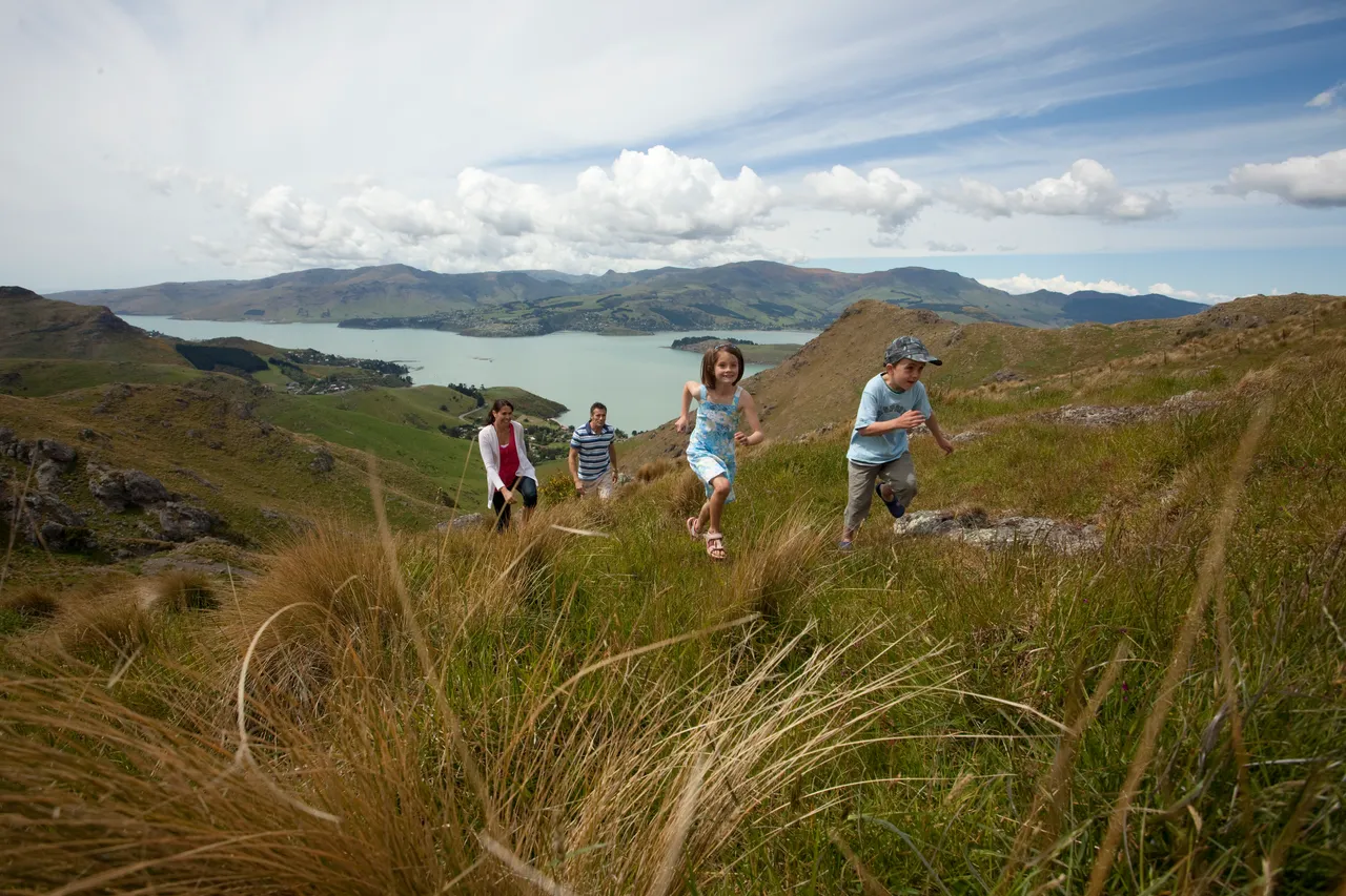 Family walking on the Port Hills