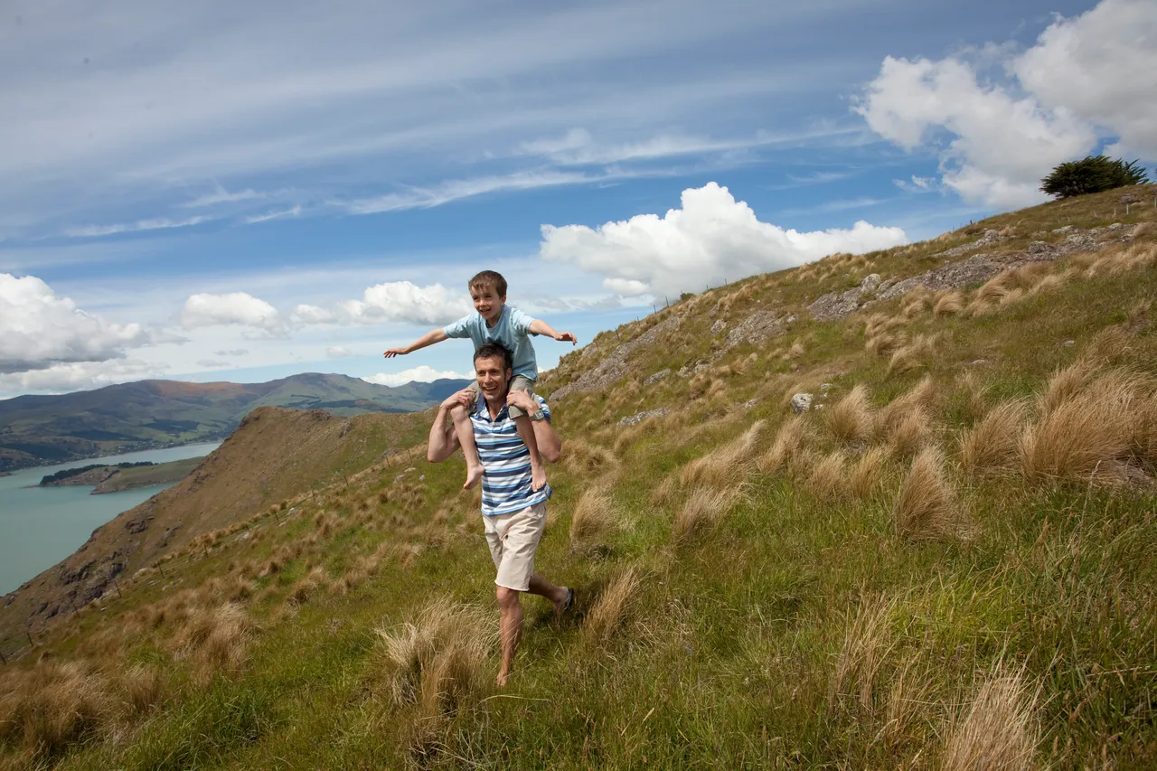 Family walking on the Port Hills