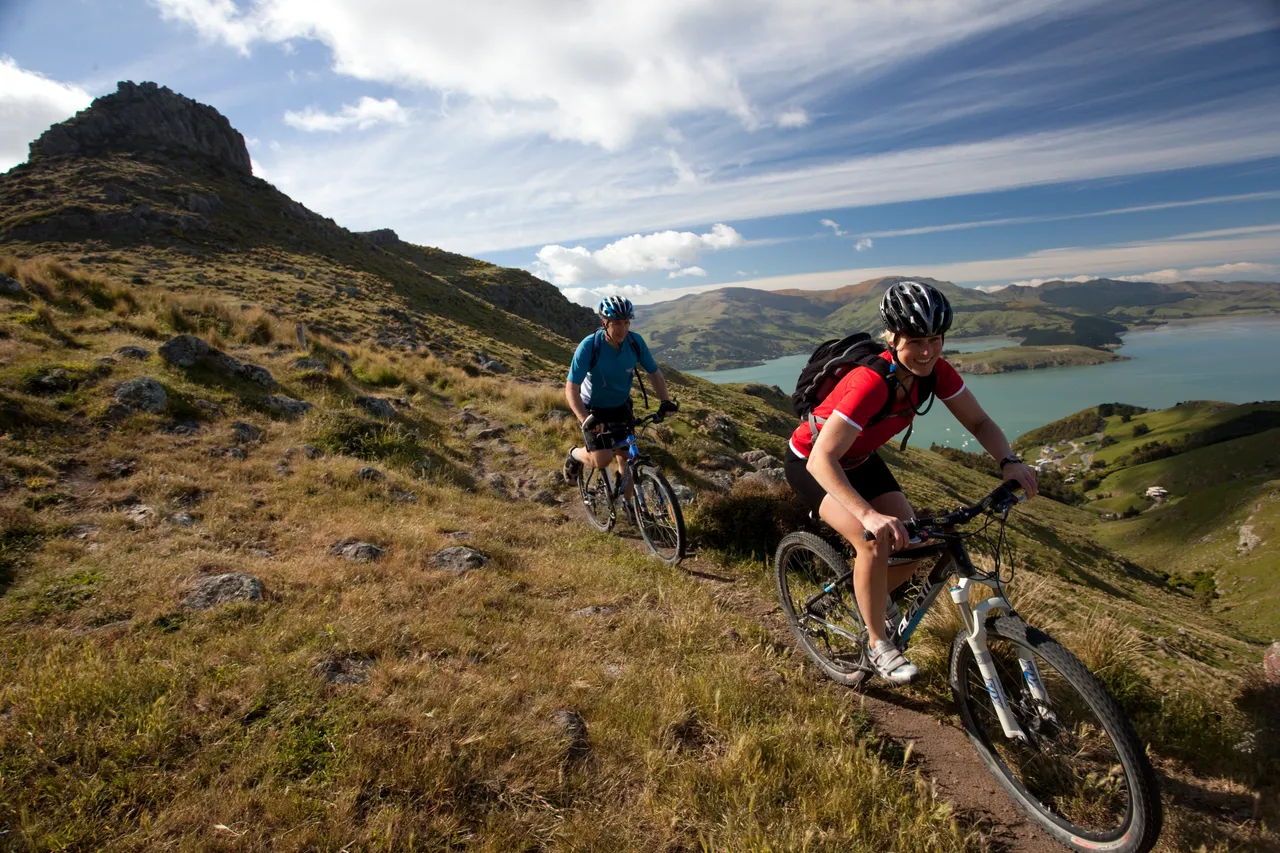 Cyclists overlooking Lyttelton Harbour