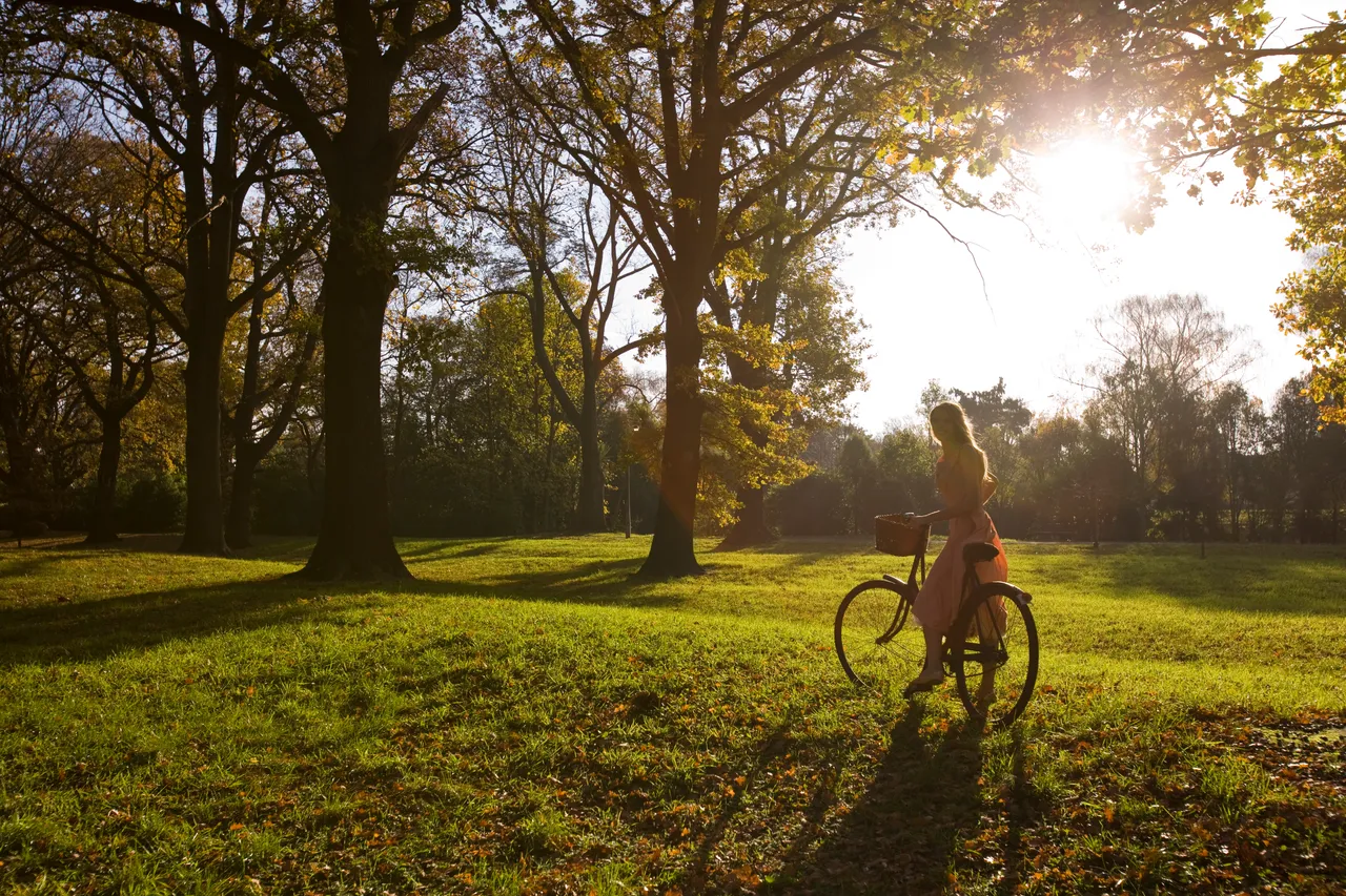 Autumn cycling in Hagley Park