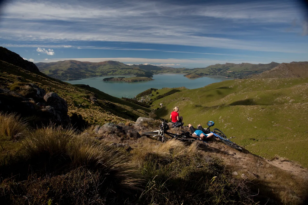 Cyclists overlooking Lyttelton Harbour