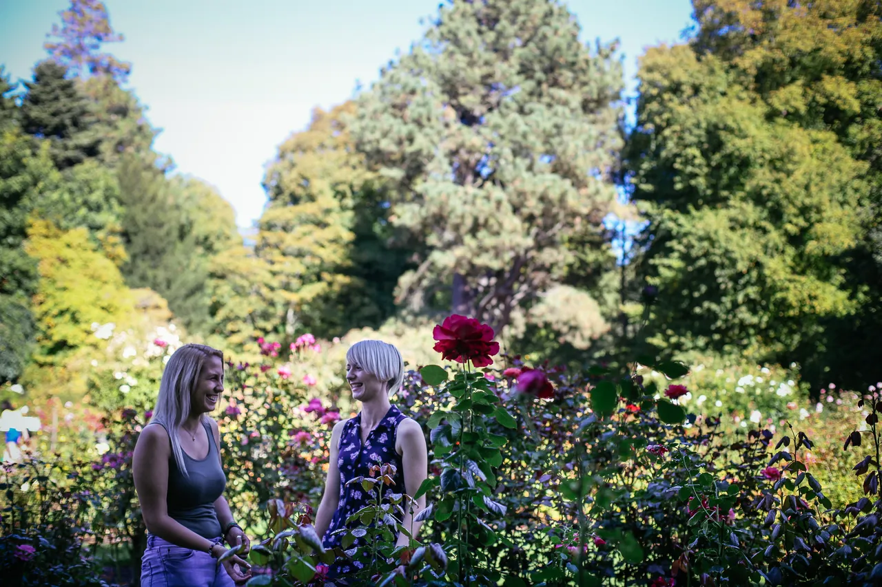 Rose Garden in the Botanic Gardens
