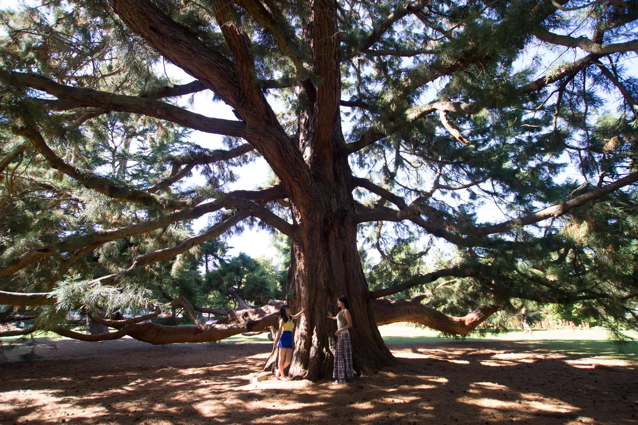 Friends enjoying the Botanic Gardens