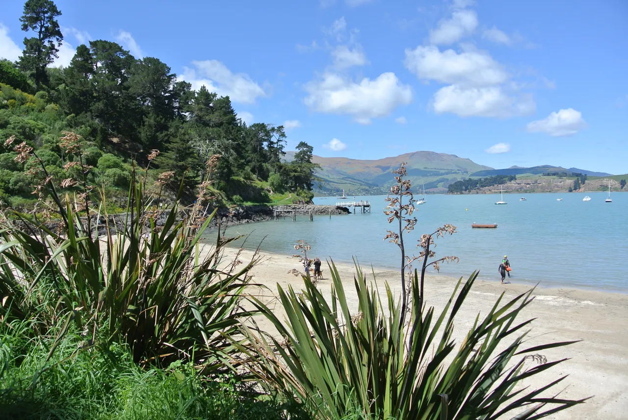 Corsair Bay looking out to Quail Island